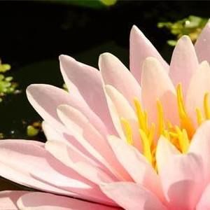 Meet your Posher, Joanne